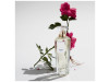 Agua Fresca de Rosas Eau de Toilette 200ml Vapo - Adolfo Dominguez