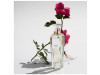 Agua Fresca de Rosas Eau de Toilette 120ml Vapo - Adolfo Dominguez