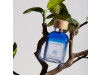 Adolfo Dominguez Agua Fresca Ltonka Eau De Toilette 120Ml