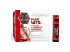 Marnys Magvital 20 Viales