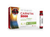Carnitin 3000 Liposomada 14Viales