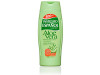 Instituto Espanhol Aloe Vera Corpo 500ml - Instituto Espaol