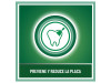 Listerine (1 Envase 500 ml Sabor Menta Fresca) - Johnson&johnson