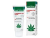 Cannabiactive Forte 60ml - Santiveri