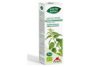 Phyto - Bipole Bio Ortiga Verde 50ml - Intersa