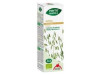 Phyto - Bipole Bio Avena 50ml - Intersa