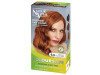 Coloursafe Tinte Permanente 6.43 Avellana 150ml - Naturvital