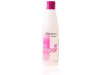 Hi Champ Reparador N01 250ml - Salerm