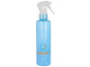 21 Doble - Fase Spray Acondicionador 190ml - Salerm