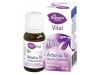 Granero Alimentacion Aceite Arbol de Te Bio 12ml - El Granero