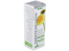 Extracto Diente Leon 50 ml Xxi Soria - Soria Natural