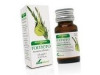 Romero Aceite Esencial 15ml - Soria Natural