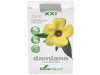 Cap.S 13 Damiana Xxi 30Cap.