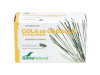Cola Caballo 60comp - Soria Natural