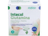 Intecol Glutamina 15 Sobres - Sakai