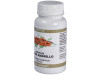 Espino Amarillo 500Mg. 100Perlas