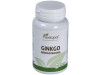 Plantapol Ginkgo Biloba 100 Comprimidos