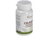 Planta Pol Colágeno Magnesio Vitamina C/D 120 Comprimidos