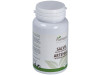Plantapol Salvia Artemisa 90Comp