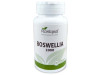 Boswelia 2000 30comp - Plantapol