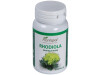 Plantapol Rhodiola 45Caps
