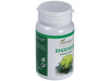 Plantapol Rhodiola 45Caps