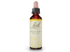 Flores Bach Wild Oat Avena Silvestre 20Ml. 2