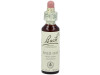 Flores Bach Wild Oat Avena Silvestre 20Ml. 2