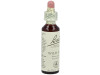 Flores Bach Wild Oat Avena Silvestre 20Ml. 2