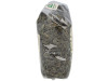 Calabaza Semillas Pipas Bio 500g - Biogra