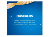 Ensure Nutrivigor, 850 g, Sabor Vainilla - Abbott