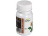 Boldo 500mg 100comp - Sotya