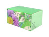 Delunia 30Cap+30Amp.+30Cap.