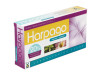 Tegor Harpago 40Caps