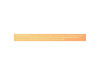 Gasteel Plus (30 Sticks) - Heel