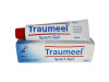 Traumeel Sport Gel 100g - Heel
