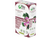 Fito Premium - Harpagofito - 30 Cápsulas - Pinisan