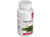 Teanin Plantis 60cap - Artesania Agricola