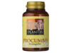 Procumbis Plantis (Harpagophytum) 120Cap.