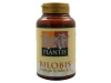 Bilobis Plantis (Ext.Seco Ginkgo Biloba) 60Cap.