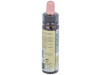 Pine Plantis Flores de Bach Nº 24 10ml - Artesania Agricola
