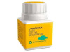 L - Arginina Base 500mg 60c - Botanicapharma