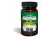 Capsudiet Ginkgo Biloba 40caps Vegs - Plameca