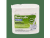 Normon Bensania Gastroliv Lactasa 30 Comprimidos - Otras Marcas