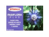 Pasiflora Plus 60caps - Integralia