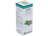 Bio Essential Oils Oregano Ac. Esencial 10ml - Equisalud