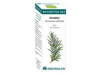 Bio Essential Oils Romero Aceite Esencial 10Ml.