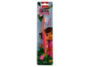 Kin Cepillo Dental Dora La Exploradora 1Ud