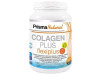 Prisma Natural Colagen Plus Flexi+ 300G Peptan