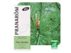 Pino Silvestre Aceite Esencial Bio 10Ml.